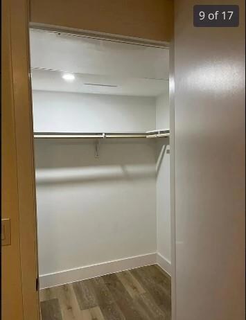 View of closet