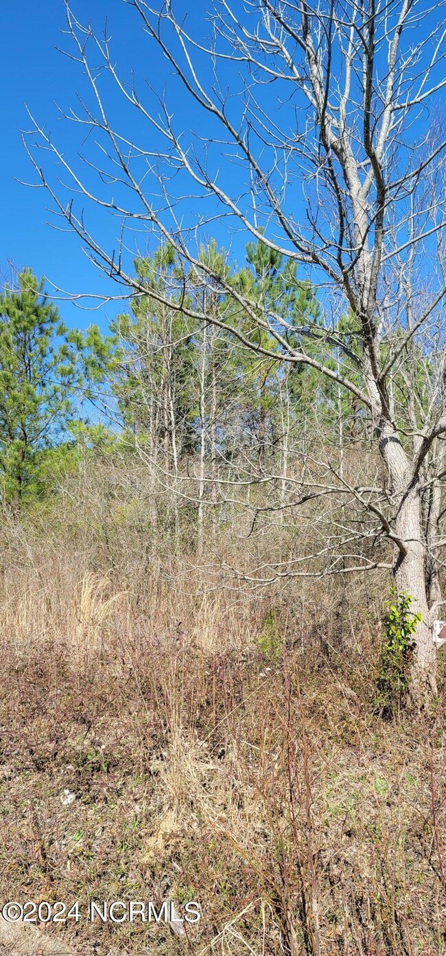 9170 County Line pic