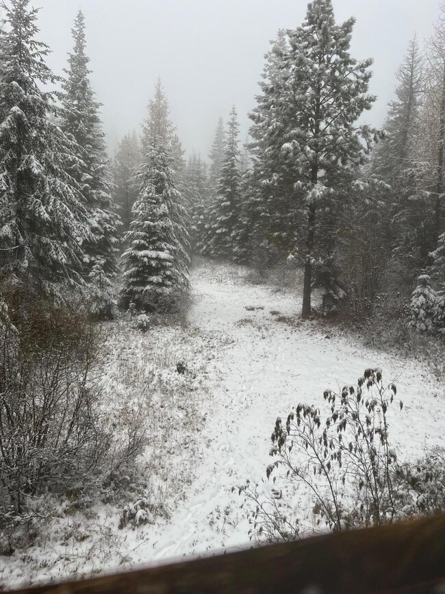 72212792746__02FE4E2E-54CF-4A6E-A579-6D3