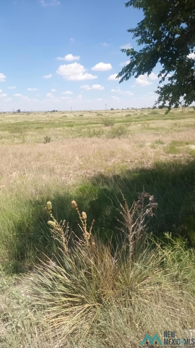 000 Marion Richards Rd, Roswell, NM 88201 - photo 3