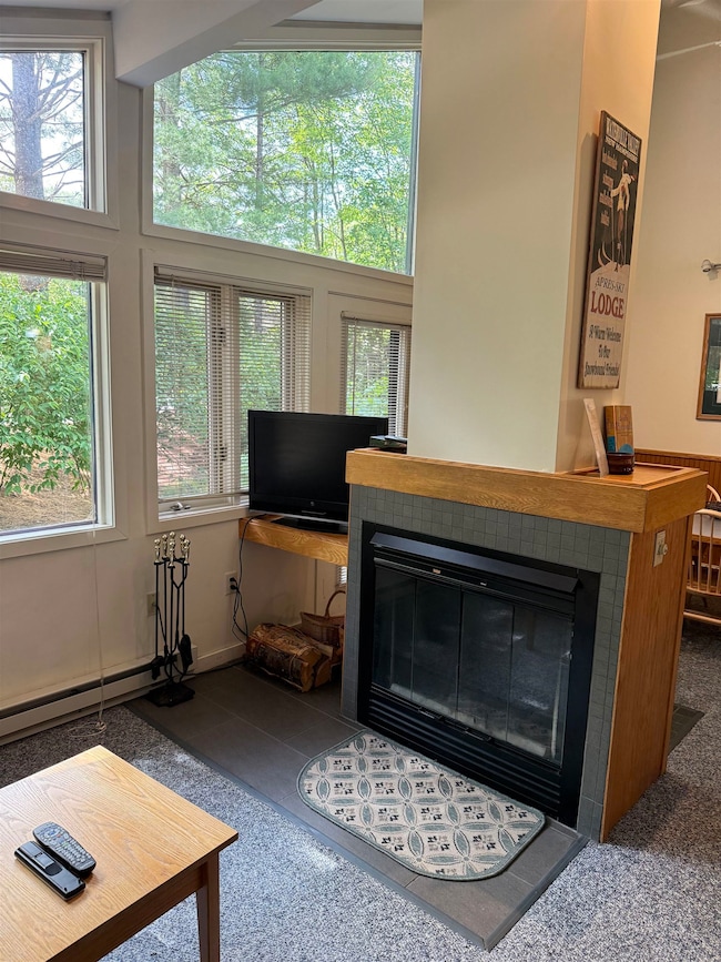 9 Mountain Sun Way unit 20C, Waterville Valley, NH 03215 - photo 5