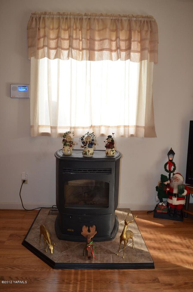 Pellet Stove