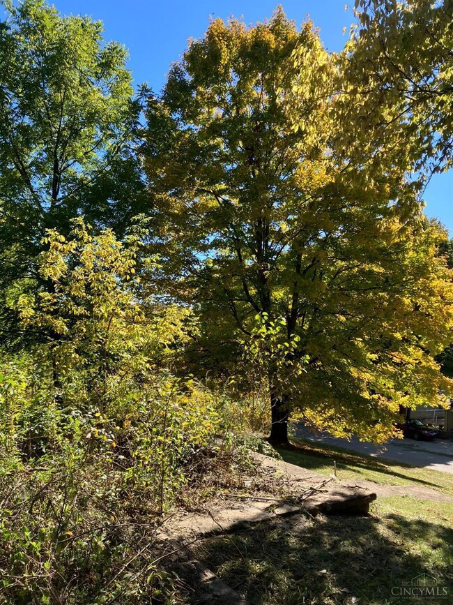 131 W Neff St, Laurel, IN 47024 - photo 4