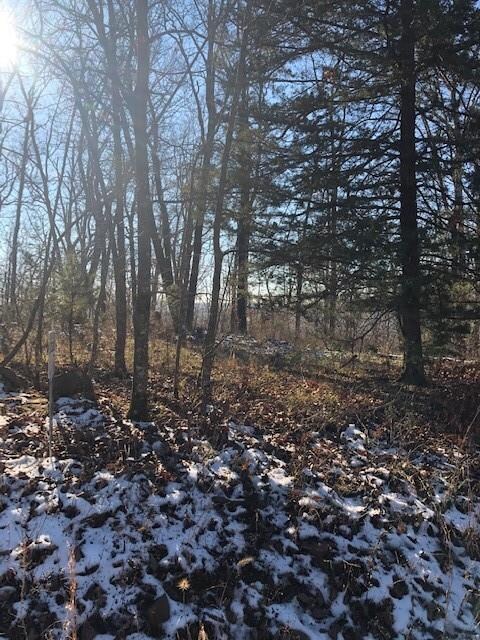 11763 Bunyard Rd, Winslow, AR 72959 - photo 5