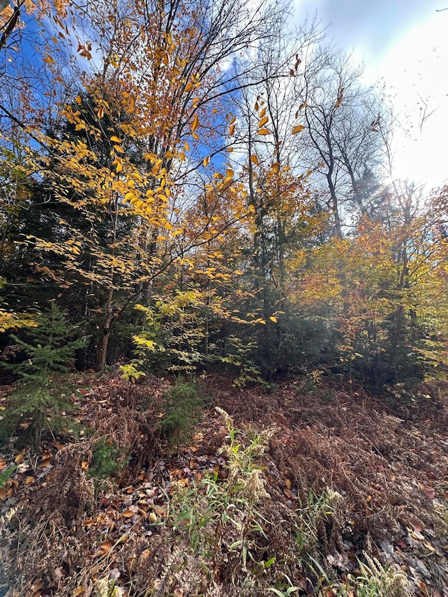 000 Pinewood Rd, McMillan Township, MI 49868 - photo 4