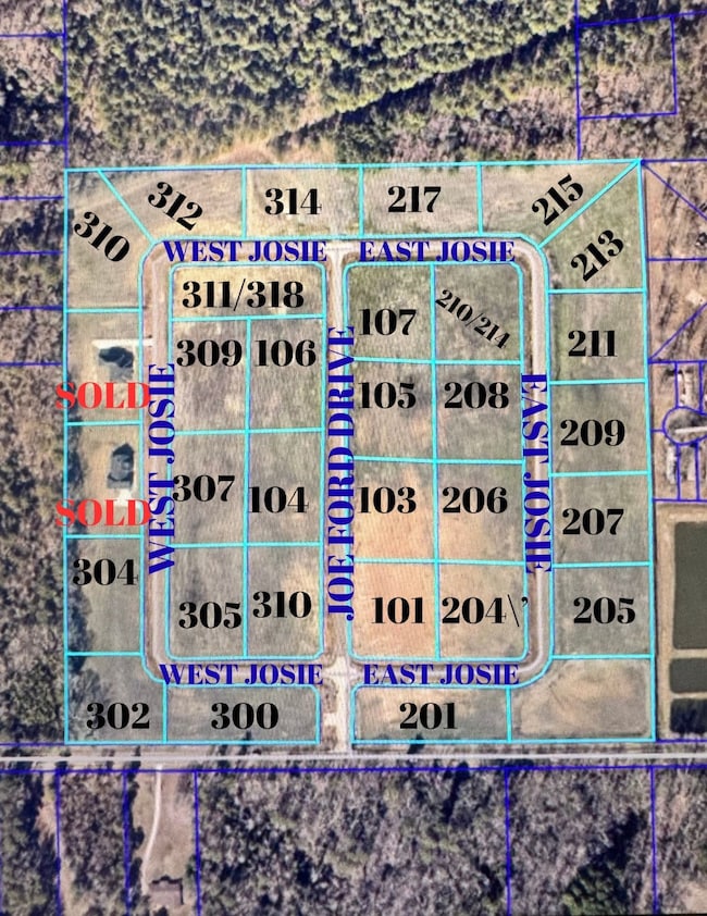 lot 28 E Josie Ln, Haughton, LA 71037 - photo 3