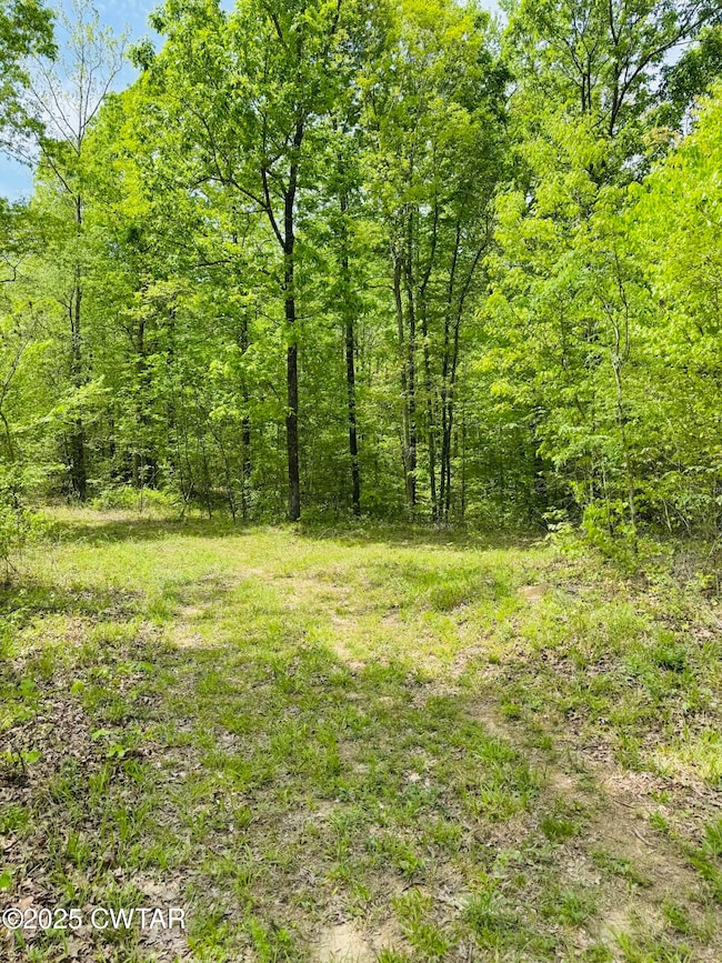 0 Highway 100, Medon, TN 38356 - photo 7