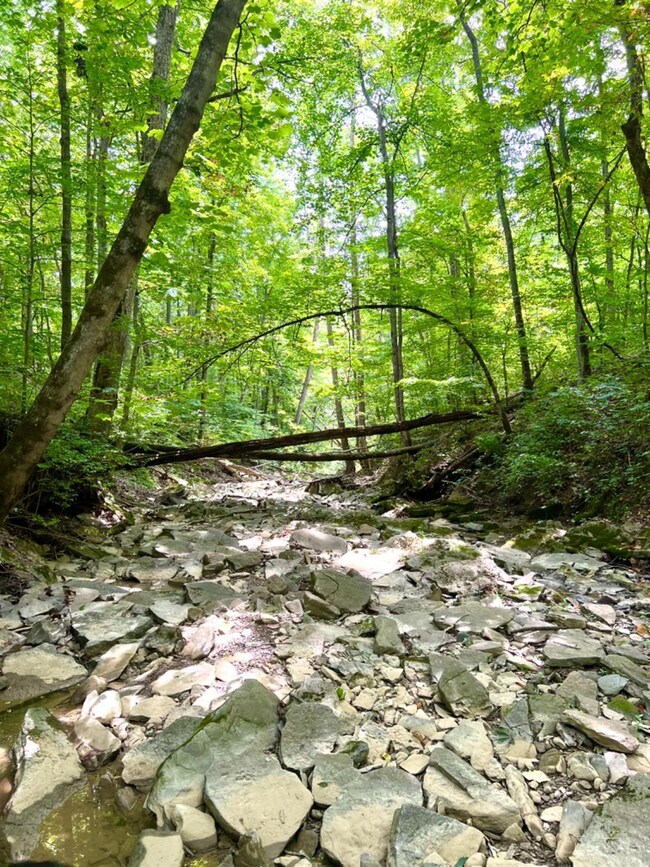 6035 State Route 505, Georgetown, OH 45121 - photo 5