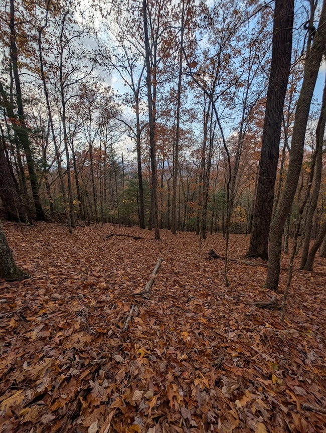 902 Mountain Top Dr, Murphy, MD 20906 - photo 3