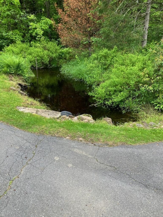 Brook & Small pond