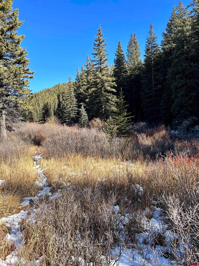 TBD River St, Pitkin, CO 81241 - photo 7