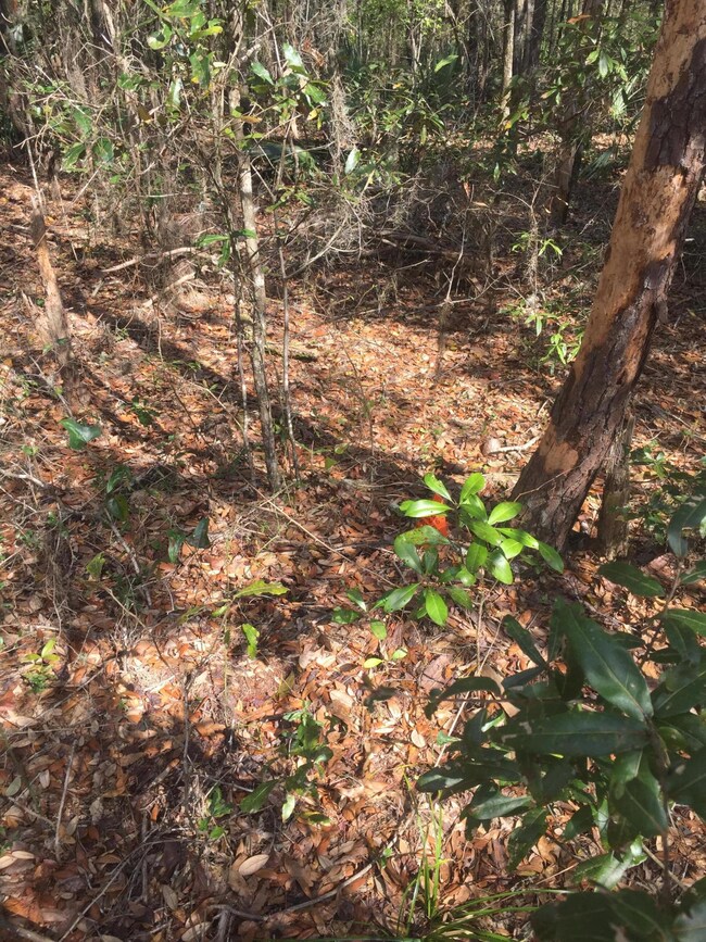 Piney Point Rd and Horseshoe LN