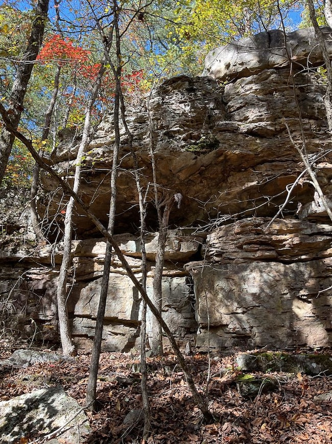 0000 Dump Mountain Rd, Mountain View, AR 72560 - photo 5