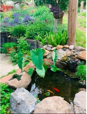 3300 West St, Redding, CA 96001 - photo 3