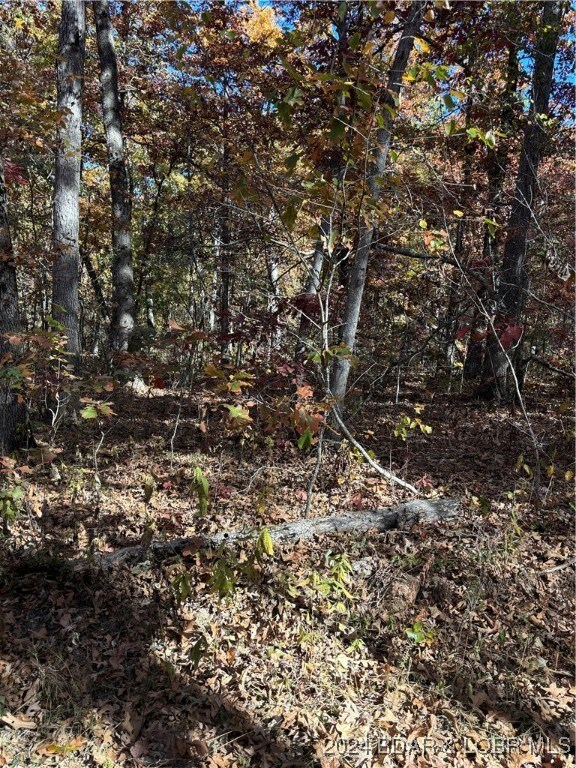 10.4 ac State Highway T, Stover, MO 65078 - photo 5