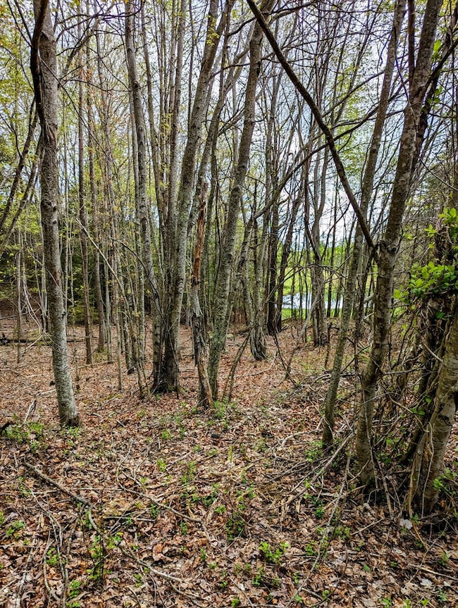 Lot 762 Surrey Ln, Spencer, TN 38585 - photo 2