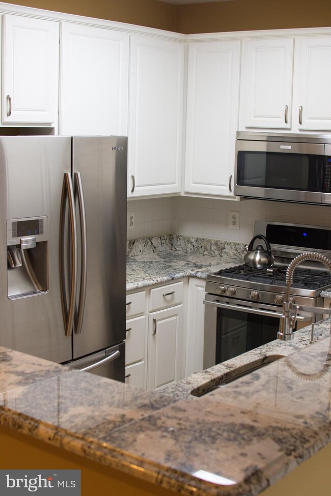 11306 Westbrook Mill Ln unit 302, Fairfax, VA 22030 - photo 6