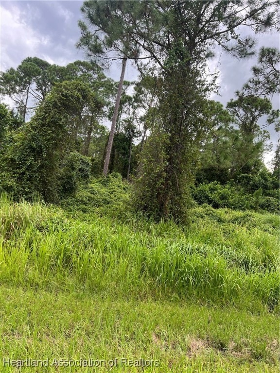 4415 Gerona Ave, Sebring, FL 33872 - photo 3