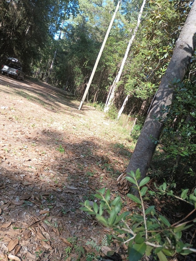 0 Wickford and Little John unit 86445316, Ivanhoe, TX 75447 - photo 3