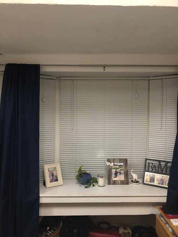 352 E 8th St unit 3, Boston, MA 02127 - photo 6