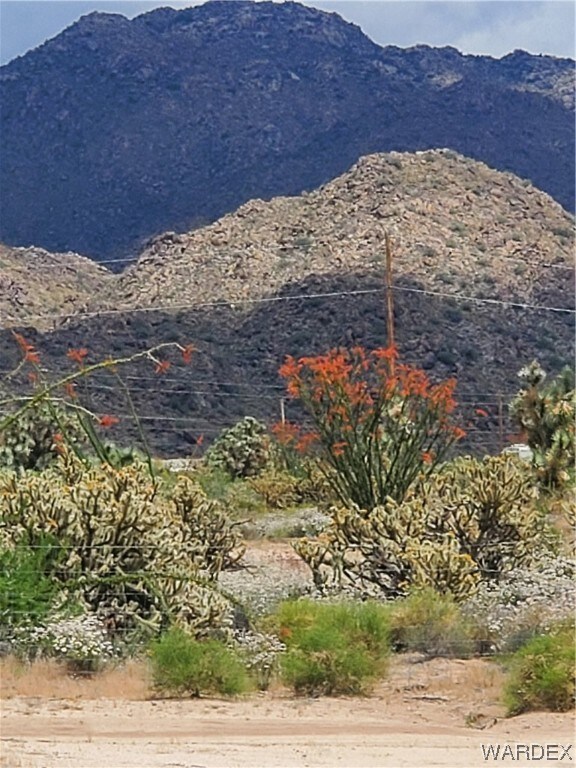 Unobstructed views with natural vegitation  all ar