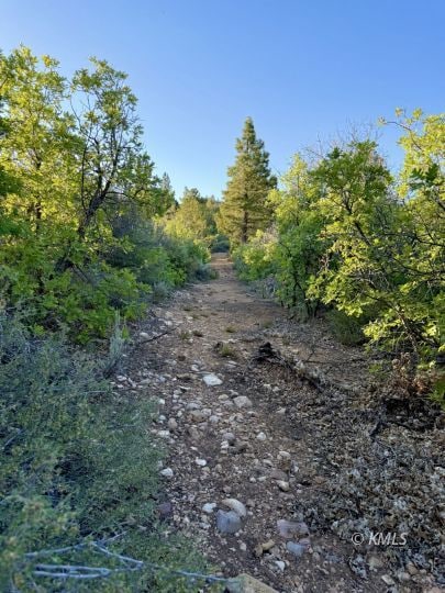 Parcel 1 Jump Up Canyon, Alton, UT 84710 - photo 3
