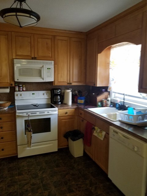 925 Gray St, Roanoke Rapids, NC 27870 - photo 3