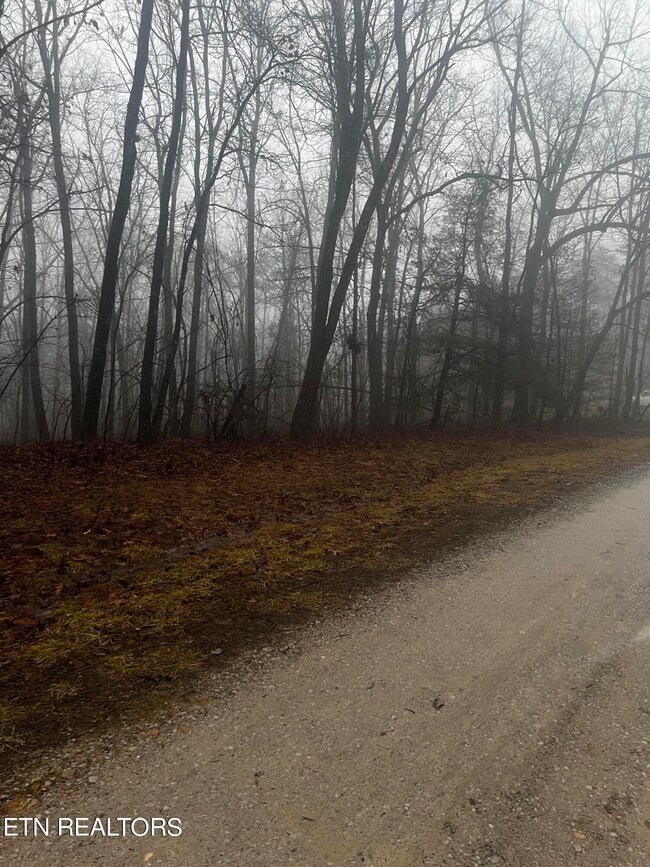 0 Running Deer unit RTC2989424, Crab Orchard, TN 37723 - photo 3