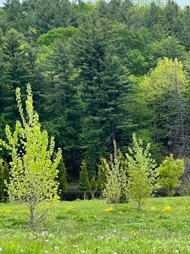 0 State Highway 37b unit 48294, Massena, NY 13662 - photo 6