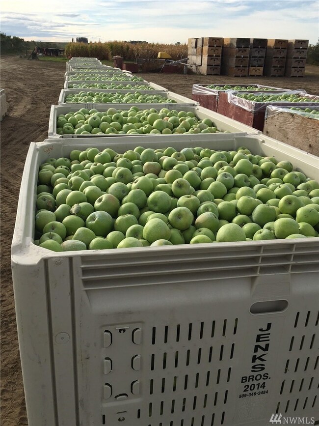 0 Sagehill Rd Block 20 Unit 9 unit 1025573, Othello, WA 99344 - photo 6