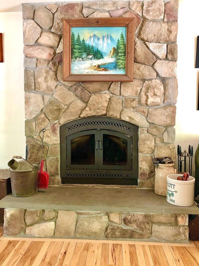 Wood burning fireplace