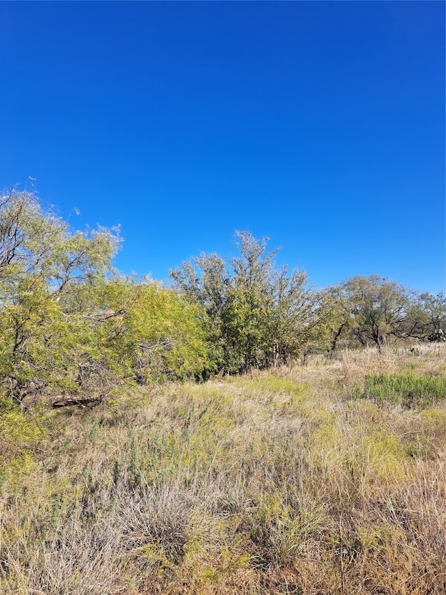TBD 140 60 Acres, Merkel, TX 79536 - photo 6