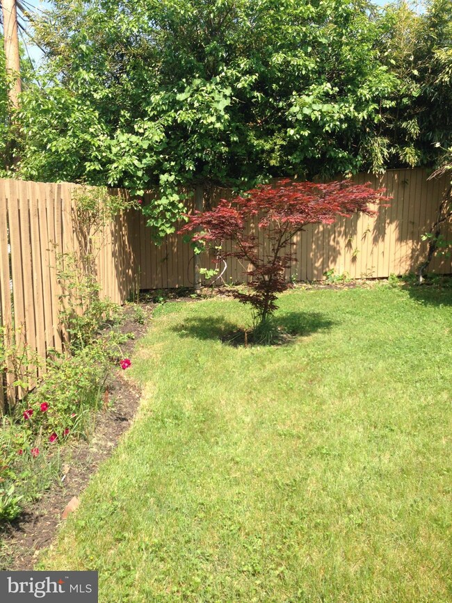 2115 Oregon Ave, Hyattsville, MD 20785 - photo 6