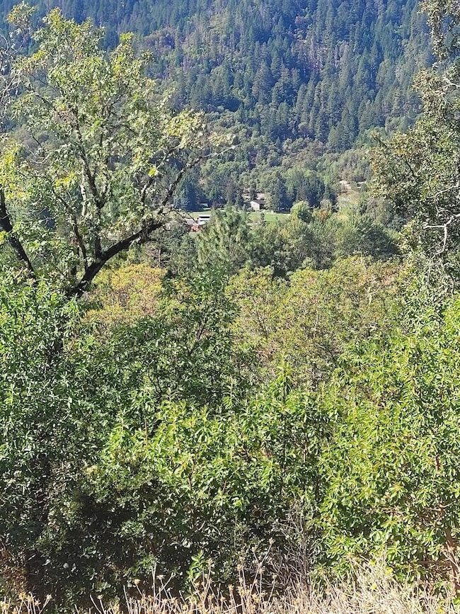 4862 N River Rd, Gold Hill, OR 97525 - photo 5