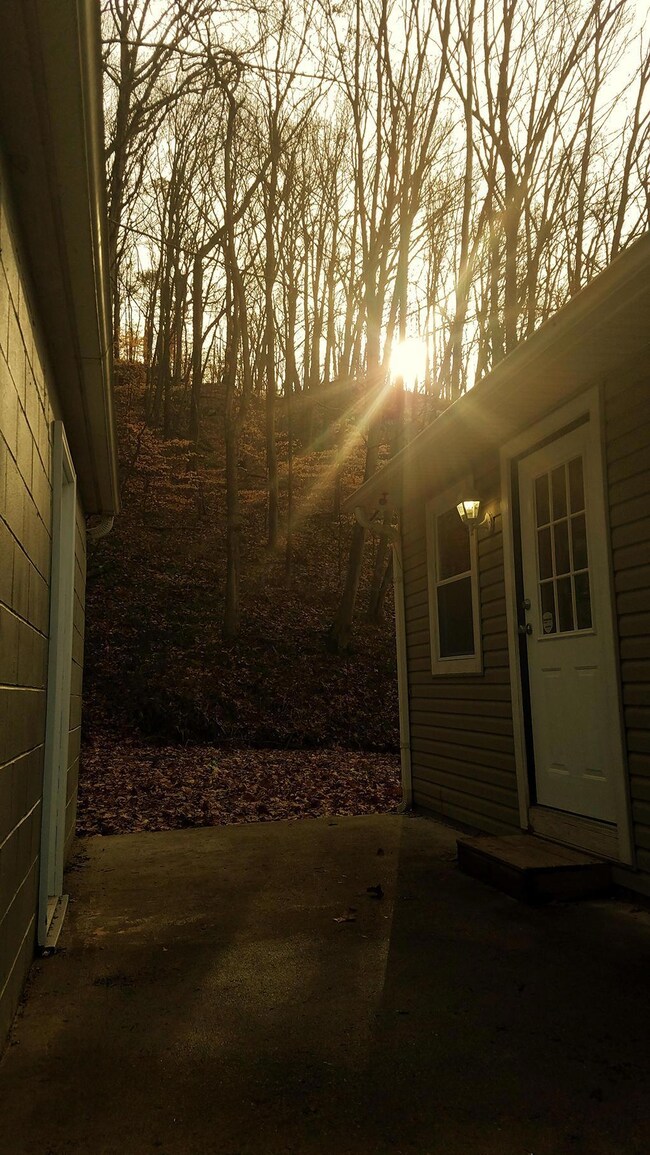 4 Sunrise