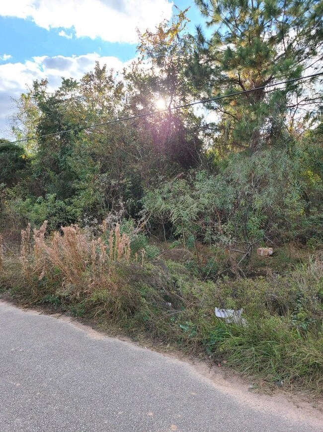 27N E Longwoods Meadows, Cypress, TX 77429 - photo 2