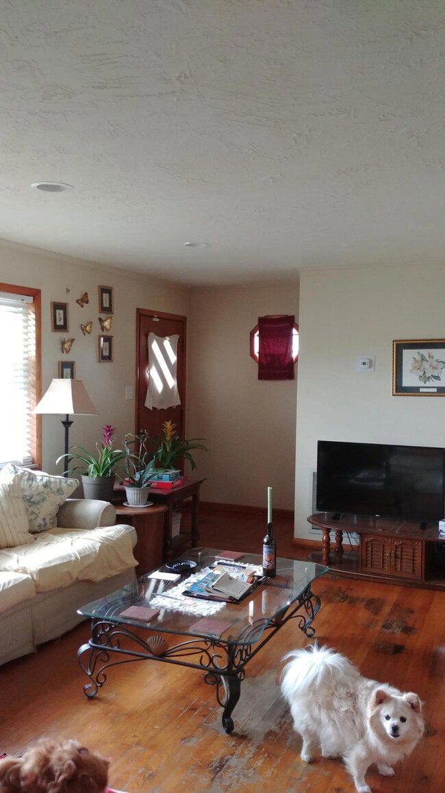 2904 Living Room
