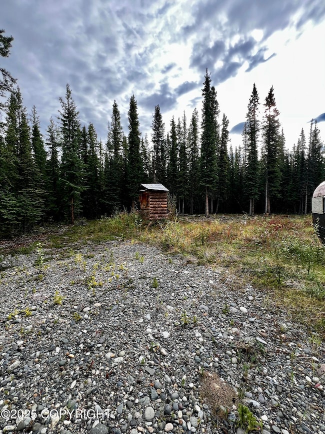 L13 Frostwoods St, Tok, AK 99780 - photo 6