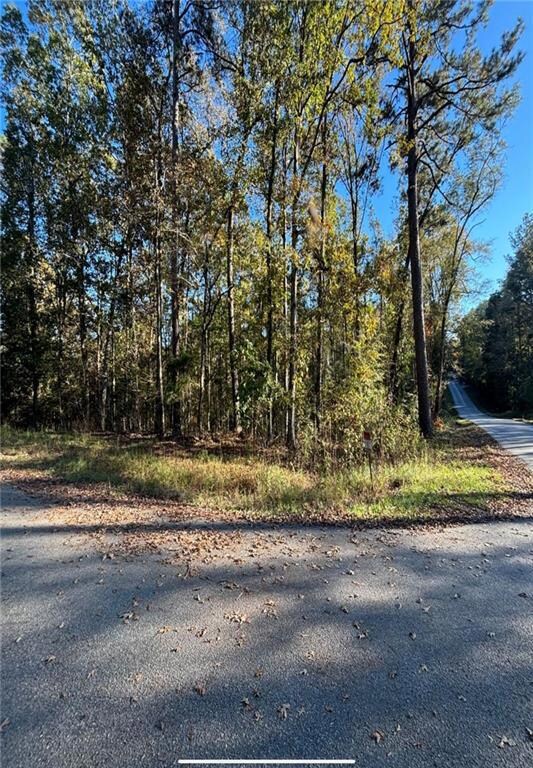 View from Haley Rd frontage of property.