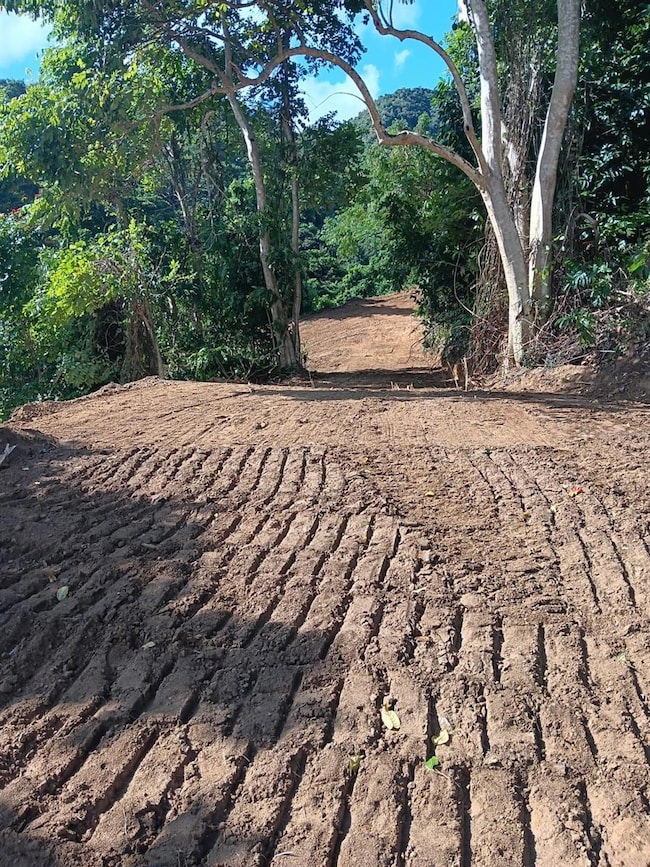 Carr 184 Km 6.4 Bo Mulas, Patillas, PR 00723 - photo 3