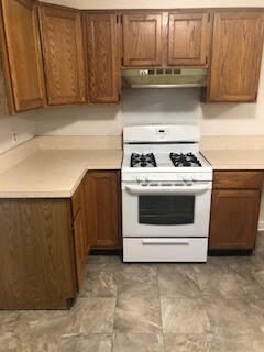 736 N Brainard St unit 2, Naperville, IL 60563 - photo 4