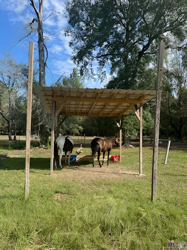 Carousel Image