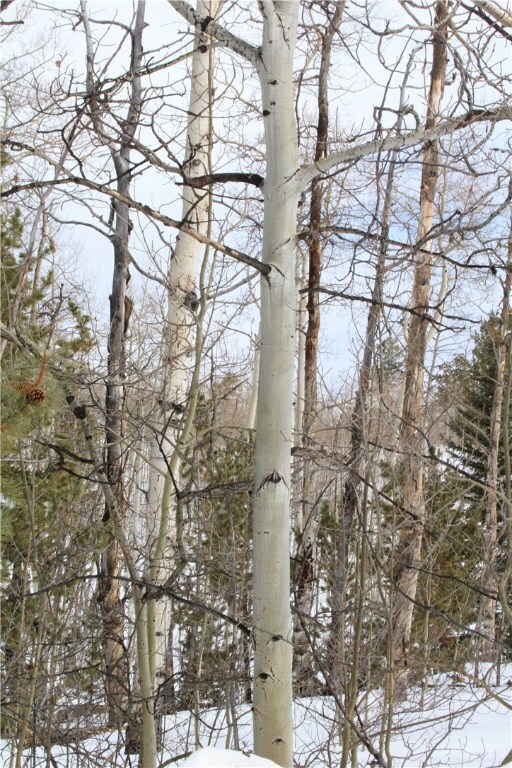 64 Rhea Rd, Como, CO 80432 - photo 6