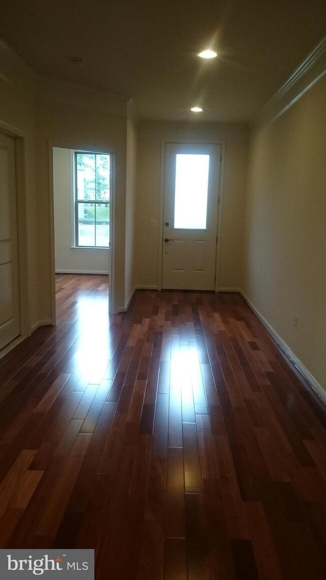 42425 Abney Wood Dr, Chantilly, VA 20152 - photo 4