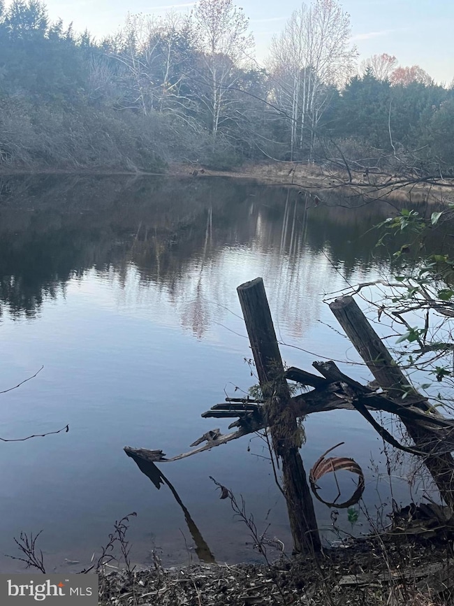 0 Mitchell Ford Rd, Lignum, VA 22726 - photo 4