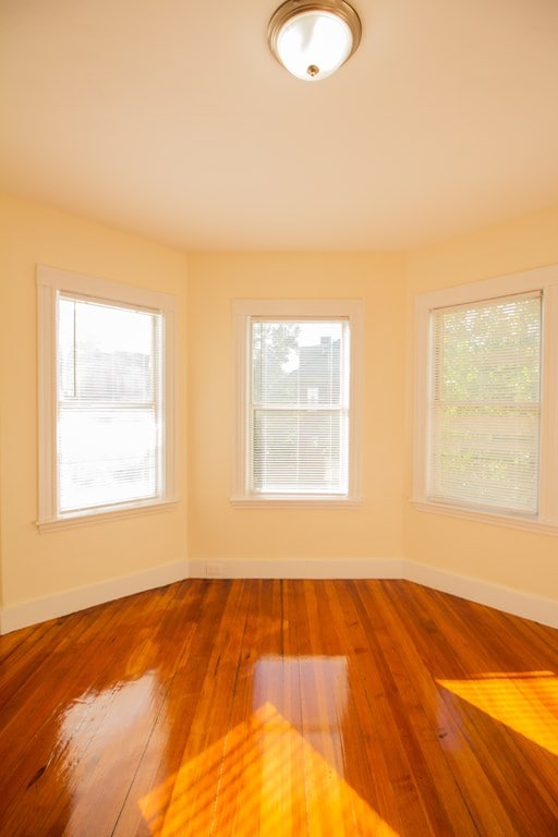 100 Franklin St unit 2, Brookline, MA 02445 - photo 4