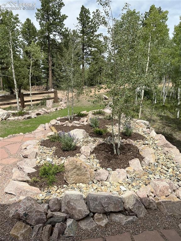 4261 County Road 51, Divide, CO 80814 - photo 4