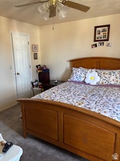 Bedroom featuring dark carpet, a ceiling fan, and a textured ceiling