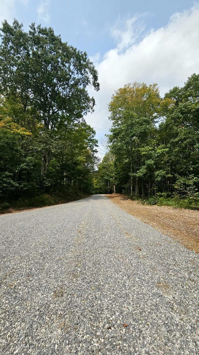 0 Lot 22 Eagles Nest unit 25-854, Snowshoe, WV 26209 - photo 2