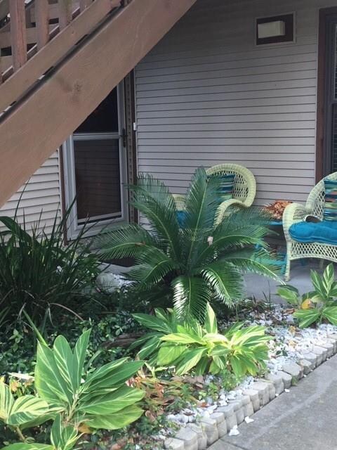 213 Harbour Oaks Dr, Saint Simons Island, GA 31522 - photo 2